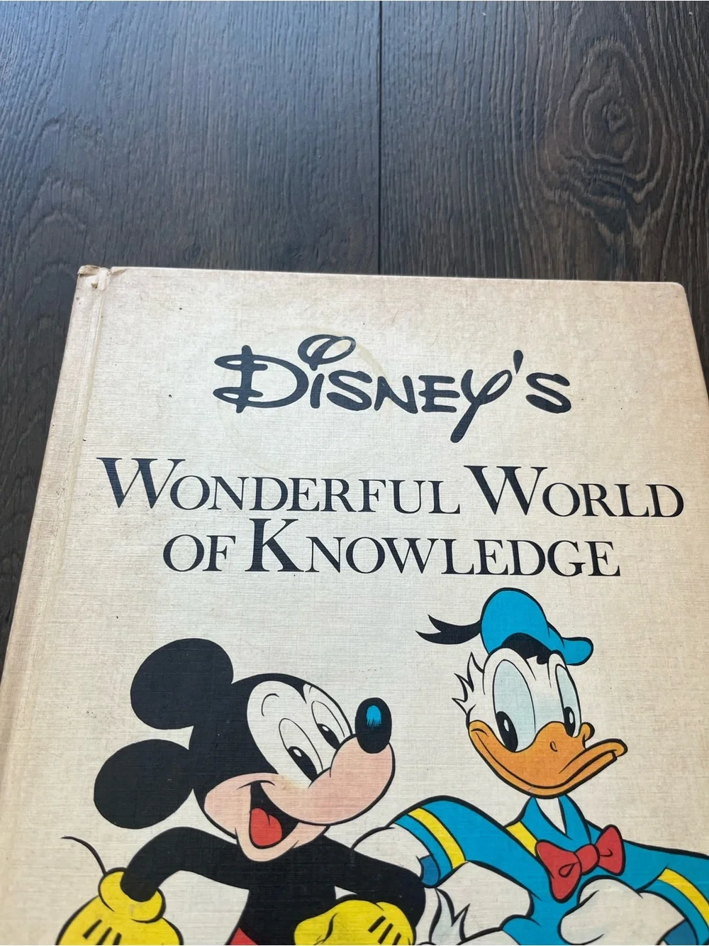 Disney gently used